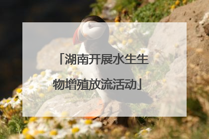 湖南开展水生生物增殖放流活动