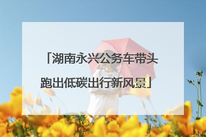 湖南永兴公务车带头跑出低碳出行新风景