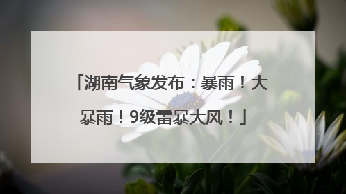 湖南气象发布：暴雨！大暴雨！9级雷暴大风！
