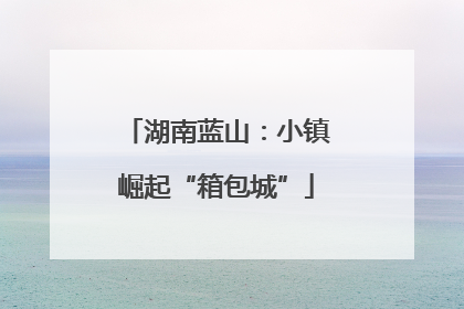 湖南蓝山：小镇崛起“箱包城”