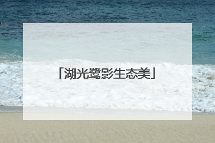 湖光鹭影生态美