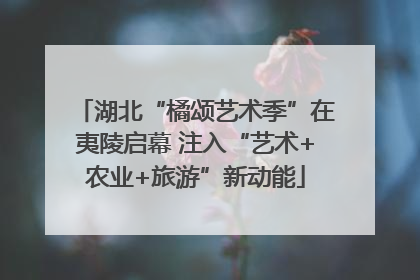 湖北“橘颂艺术季”在夷陵启幕 注入“艺术+农业+旅游”新动能
