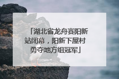 湖北省龙舟赛阳新站闭幕，阳新下屋村勇夺地方组冠军