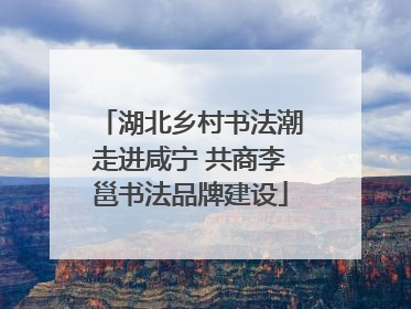 湖北乡村书法潮走进咸宁 共商李邕书法品牌建设