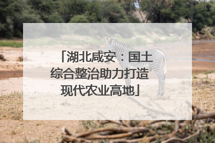 湖北咸安：国土综合整治助力打造现代农业高地