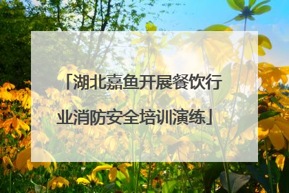 湖北嘉鱼开展餐饮行业消防安全培训演练