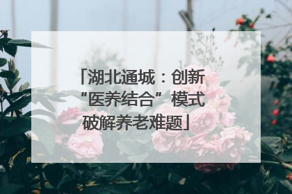 湖北通城：创新 “医养结合”模式 破解养老难题