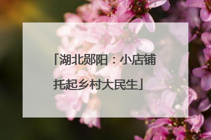 湖北郧阳：小店铺托起乡村大民生