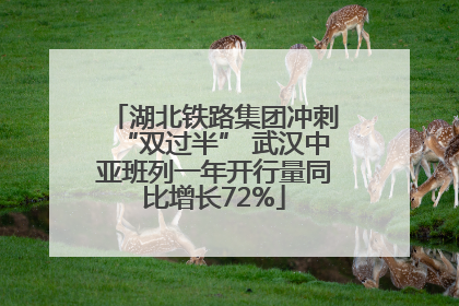湖北铁路集团冲刺“双过半” 武汉中亚班列一年开行量同比增长72%