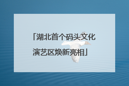 湖北首个码头文化演艺区焕新亮相