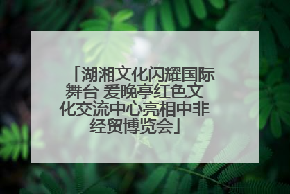 湖湘文化闪耀国际舞台 爱晚亭红色文化交流中心亮相中非经贸博览会
