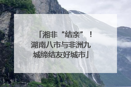 湘非“结亲”！湖南八市与非洲九城缔结友好城市