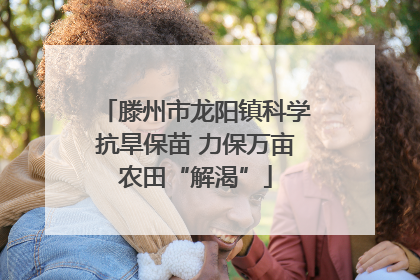 滕州市龙阳镇科学抗旱保苗 力保万亩农田“解渴”