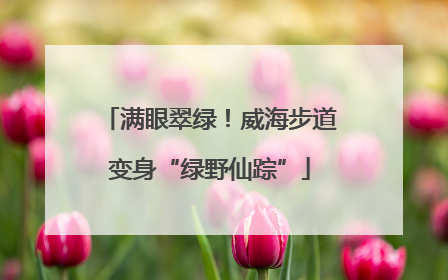 满眼翠绿！威海步道变身“绿野仙踪”