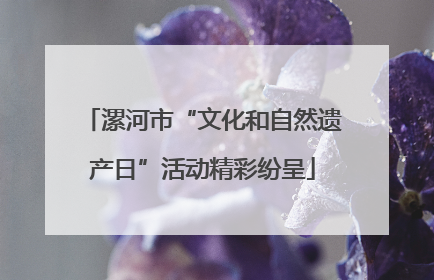 漯河市“文化和自然遗产日”活动精彩纷呈