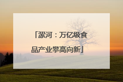 漯河：万亿级食品产业攀高向新