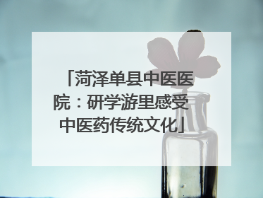 菏泽单县中医医院：研学游里感受中医药传统文化