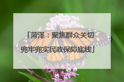 菏泽：聚焦群众关切 兜牢兜实民政保障底线