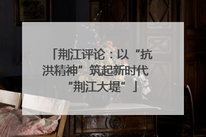 荆江评论：以“抗洪精神”筑起新时代“荆江大堤”