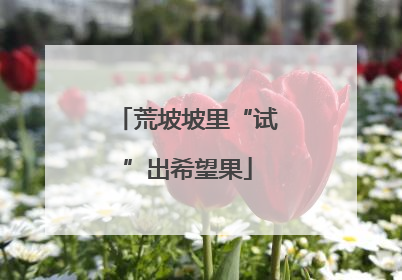 荒坡坡里“试”出希望果