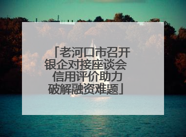 老河口市召开银企对接座谈会 信用评价助力破解融资难题