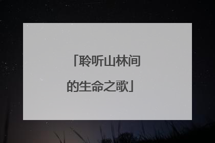 聆听山林间的生命之歌