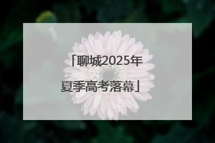 聊城2025年夏季高考落幕
