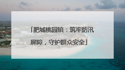 肥城桃园镇：筑牢防汛屏障，守护群众安全