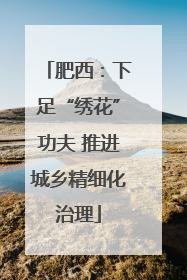 肥西：下足“绣花”功夫 推进城乡精细化治理