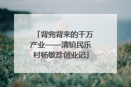 背兜背来的千万产业——清镇民乐村杨敏珍创业记