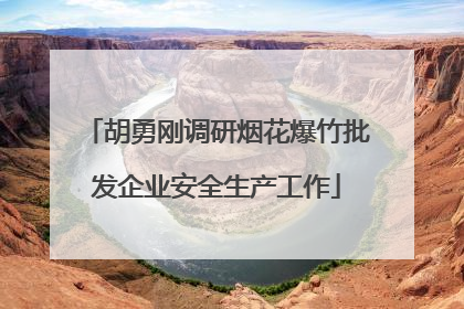 胡勇刚调研烟花爆竹批发企业安全生产工作