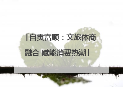 自贡富顺：文旅体商融合 赋能消费热潮