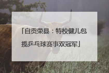 自贡荣县：特校健儿包揽乒乓球赛事双冠军