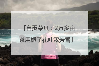 自贡荣县：2万多亩茶用栀子花吐露芳香