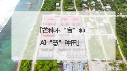 芒种不“盲”种 AI“慧”种田
