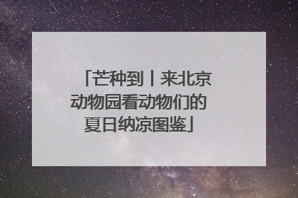芒种到丨来北京动物园看动物们的夏日纳凉图鉴