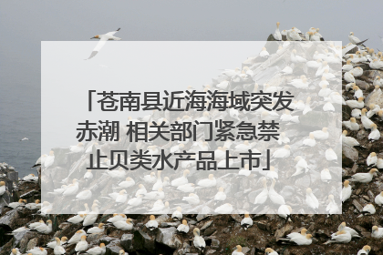 苍南县近海海域突发赤潮 相关部门紧急禁止贝类水产品上市