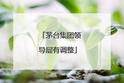 茅台集团领导层有调整
