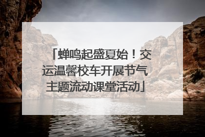蝉鸣起盛夏始！交运温馨校车开展节气主题流动课堂活动