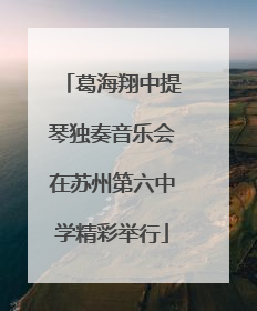 葛海翔中提琴独奏音乐会在苏州第六中学精彩举行