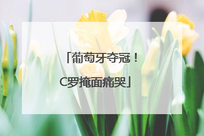 葡萄牙夺冠！C罗掩面痛哭