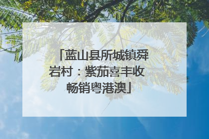 蓝山县所城镇舜岩村：紫茄喜丰收 畅销粤港澳