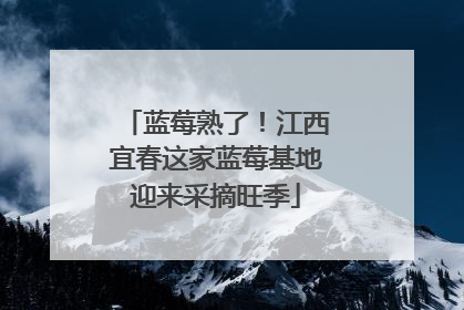 蓝莓熟了！江西宜春这家蓝莓基地迎来采摘旺季