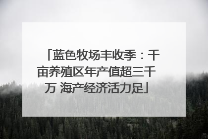 蓝色牧场丰收季：千亩养殖区年产值超三千万 海产经济活力足