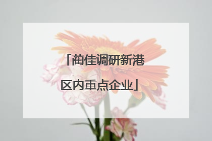 蔺佳调研新港区内重点企业