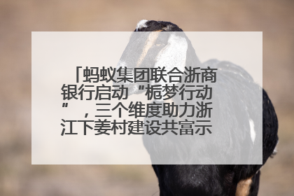 蚂蚁集团联合浙商银行启动“栀梦行动”，三个维度助力浙江下姜村建设共富示范区示范点