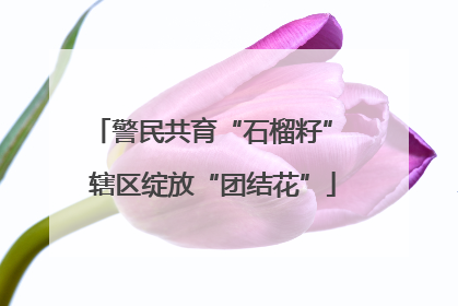 警民共育“石榴籽” 辖区绽放“团结花”