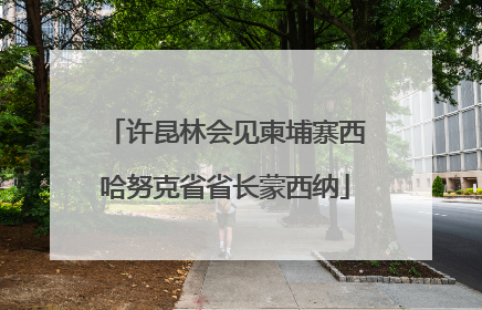 许昆林会见柬埔寨西哈努克省省长蒙西纳