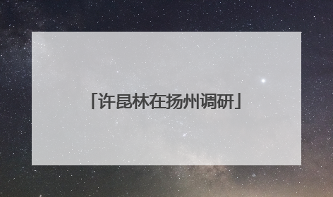 许昆林在扬州调研
