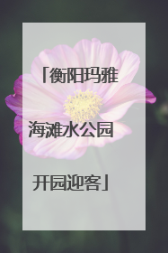 衡阳玛雅海滩水公园开园迎客